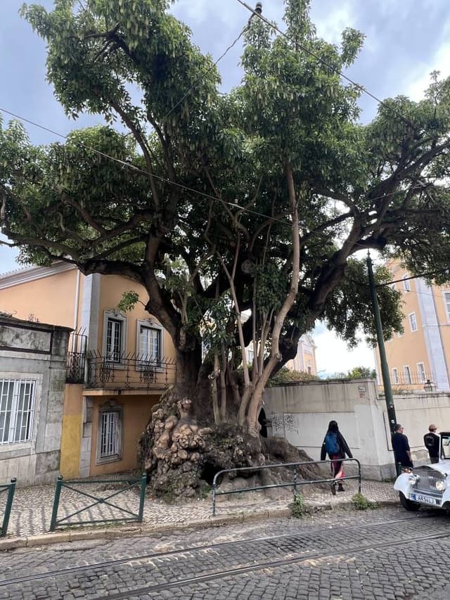 Фото 1 от Aidar G. об аренде Renault Austral в Мадриде (09.05.25)
