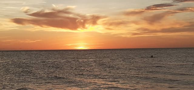 Photo 1 par Dominique T. (05/09/22)