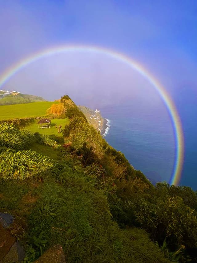 Photo 2 by patrick W. (1/25/26)