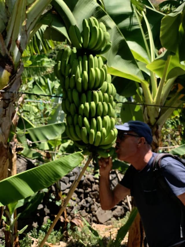 Foto 1 van Pieternella B. (17-10-24)