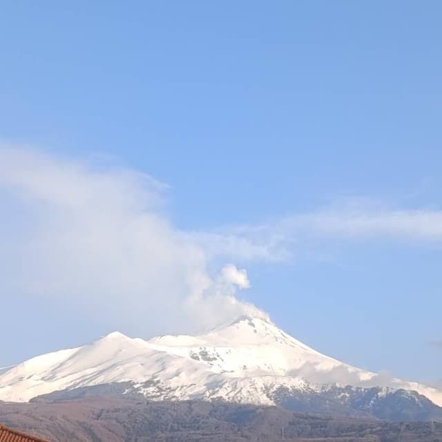 Photo 1 by Peter P. (3/26/26)