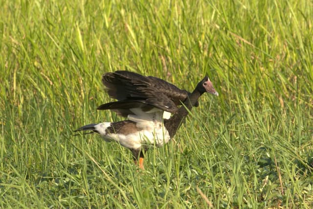 Photo 1 by Caroline S. (6/1/23)