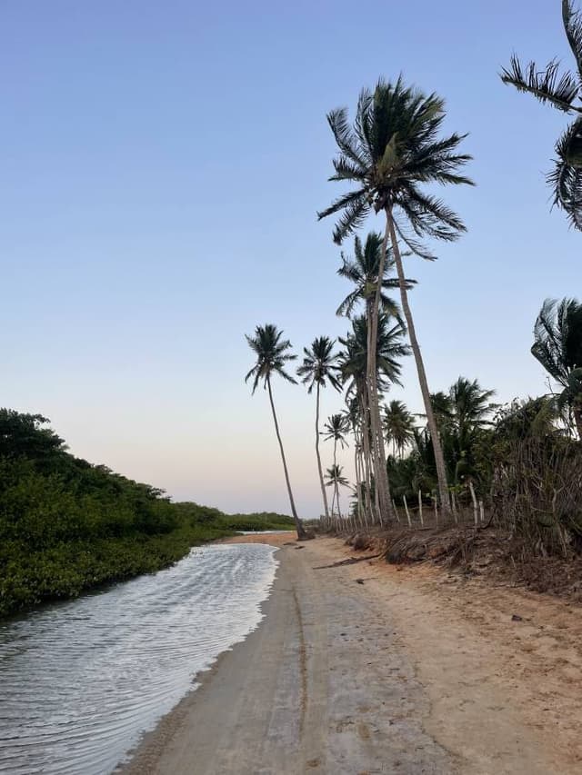 Photo 1 by Amber V. (10/16/24)