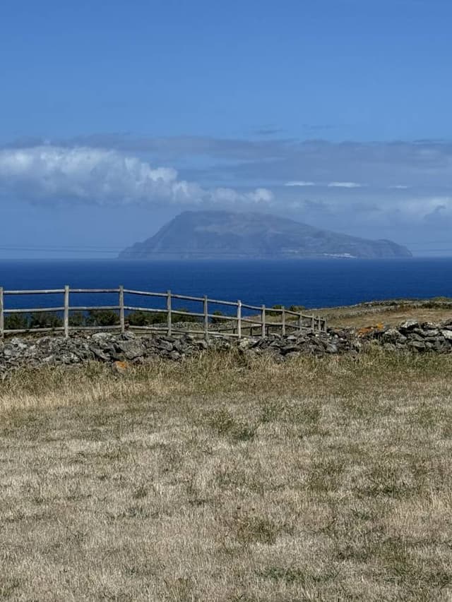 Photo 1 by Harold O. (9/11/24)