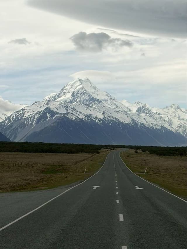 (25/11/25),TSUNG-YAO L. 拍攝的照片