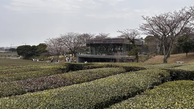 Photo 1 by Mohan S. (4/14/26)