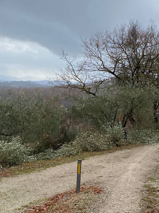 Photo by Halil erdal P. (2/13/26)