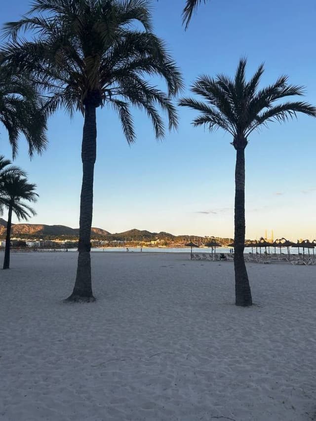 Foto 2 di Federico Eros B. sul noleggio di una Suzuki Celerio in Spagna - alle Isole Baleari (26/06/24)