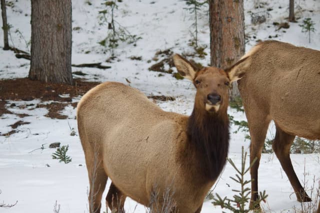 Photo 1 by Kempes N. (2/28/26)