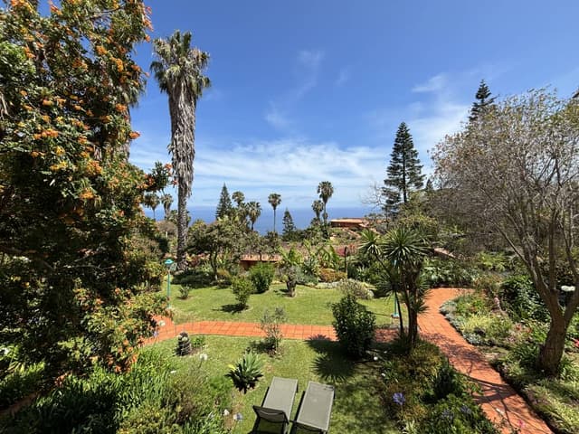 Foto 1 van Marijnus D. over het huren van een Fiat Tipo in Madeira (21-5-24)