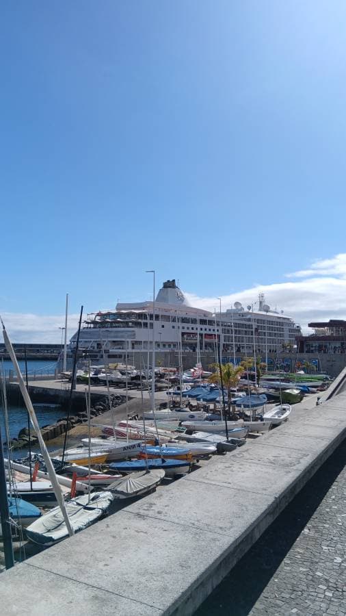 Foto 1 de Maria Fernanda A. (15/03/26)