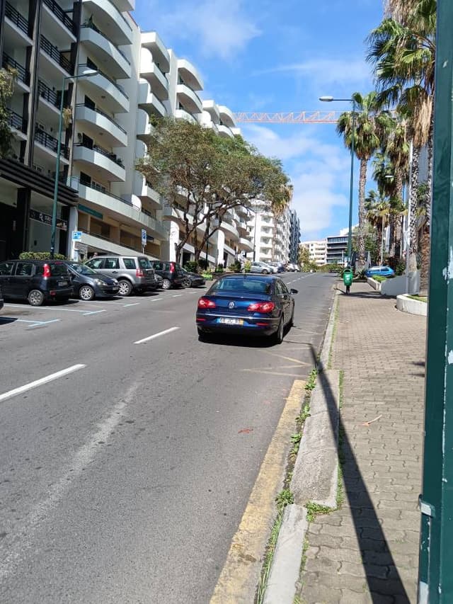 Photo 3 by Monica N. about renting a Citroen C3 in Madeira (2/24/25)