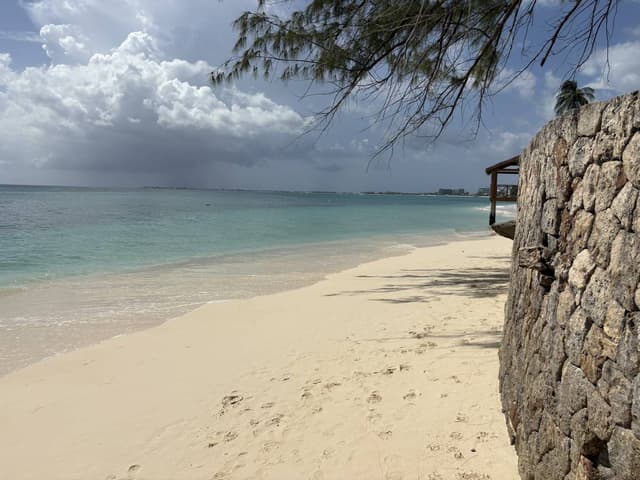 Photo 1 by Paul F. (6/19/26)