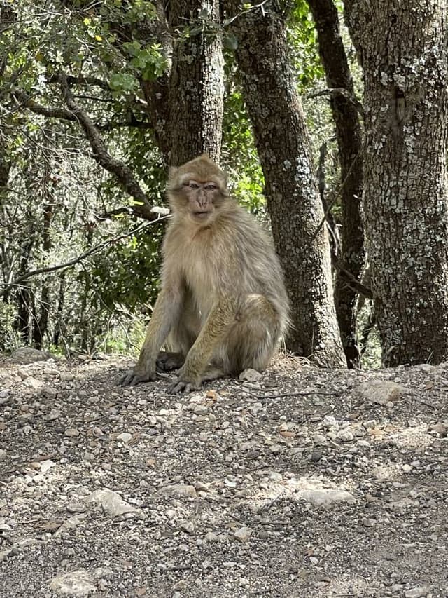 Photo 1 by Adil D. (7/23/23)