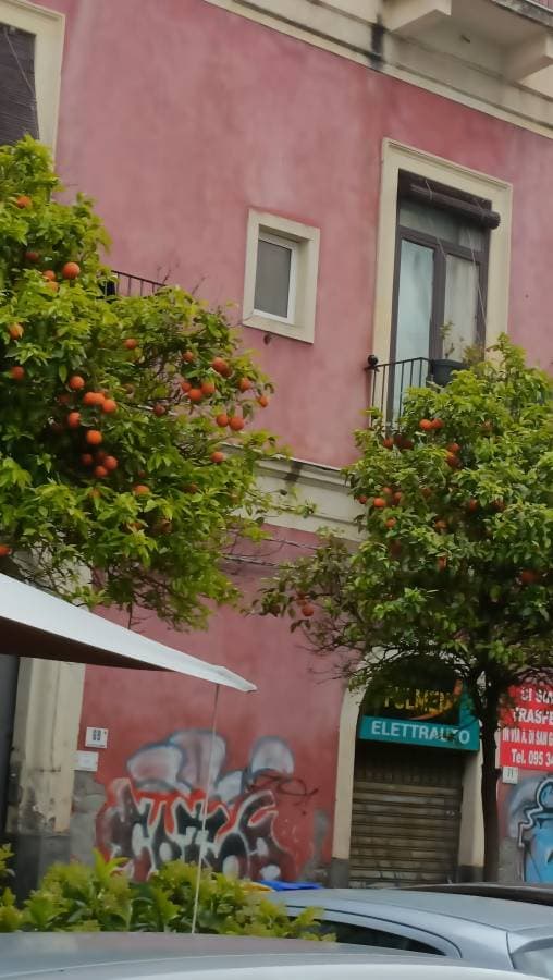 Foto 1 di Fatmir B. (03/04/26)