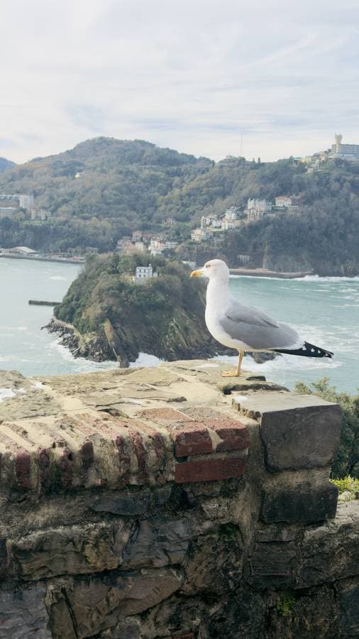 Foto 2 de Antonio Luis C. (3/12/25)