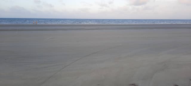 Foto 2 di FAUSTO G. sul noleggio di una Peugeot 208 in Brasile (08/08/23)