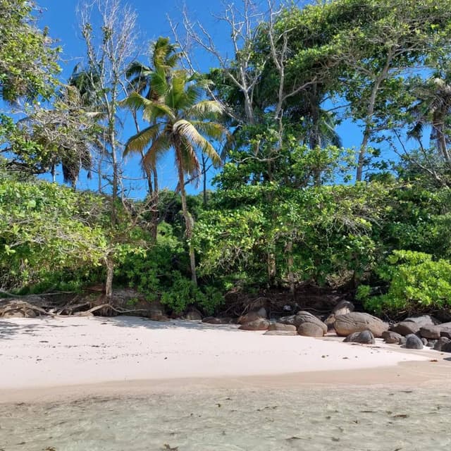 Photo 1 by Andrew W. about hiring a Hyundai i10 in the Seychelles (30/12/22)