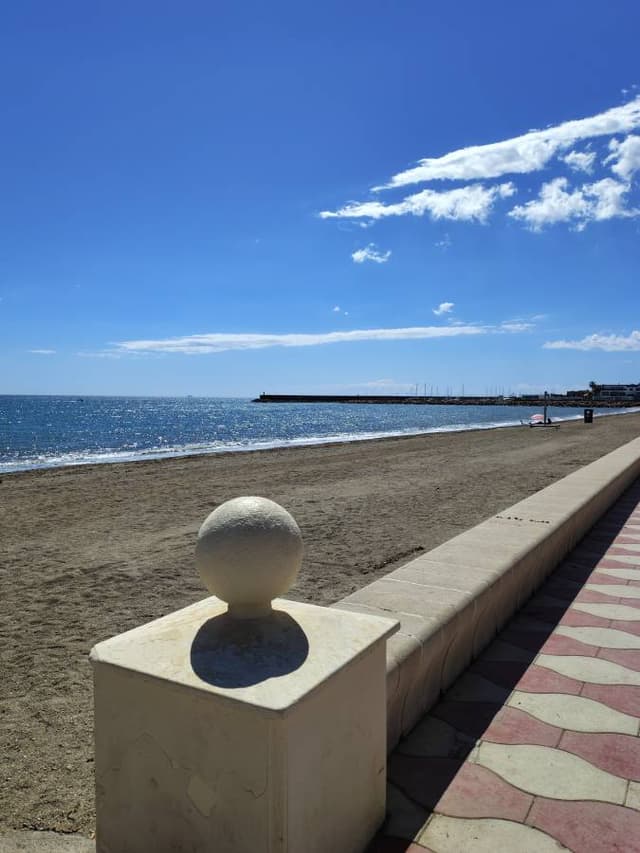 Photo 1 by martin C. (3/31/26)