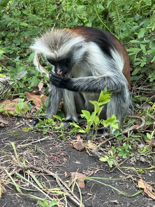 Photo 1 par ALAIN B. (13/02/26)