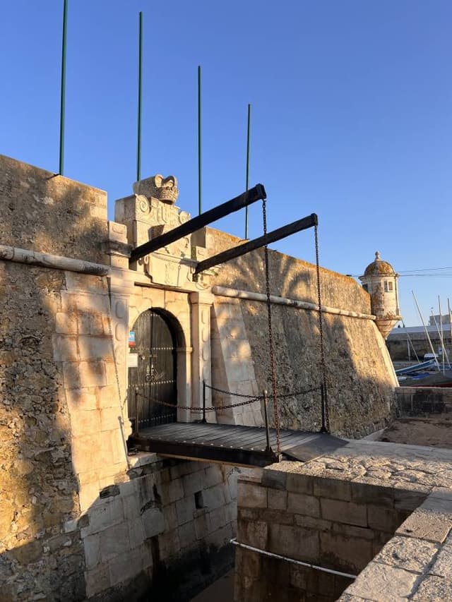 Photo 1 by Darrel T. (3/11/26)