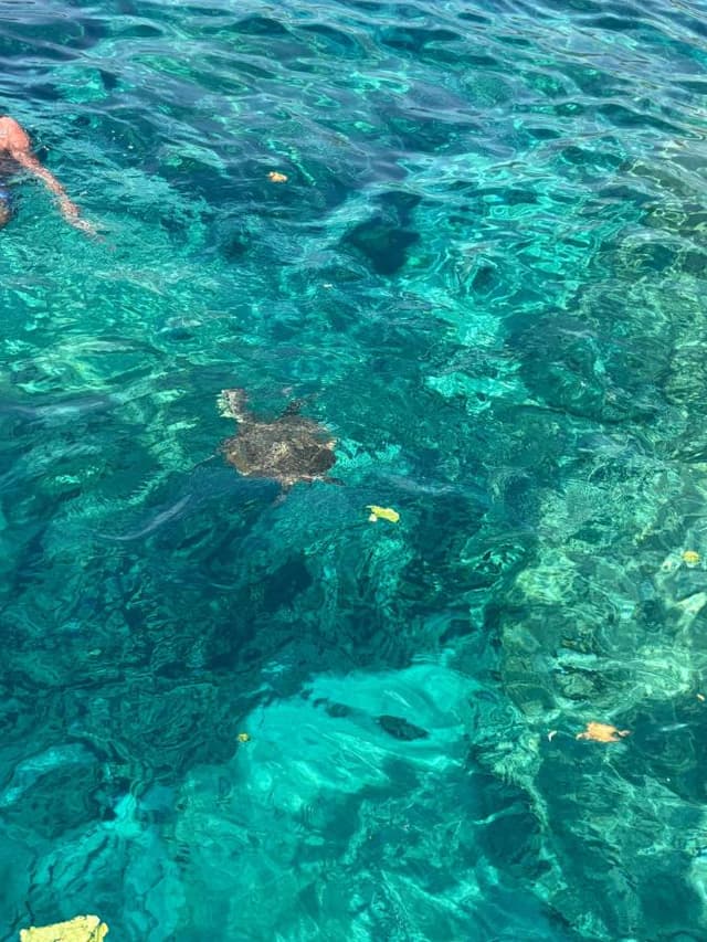 Photo 1 by luca P. about renting a Volkswagen Polo in Cyprus (8/25/25)
