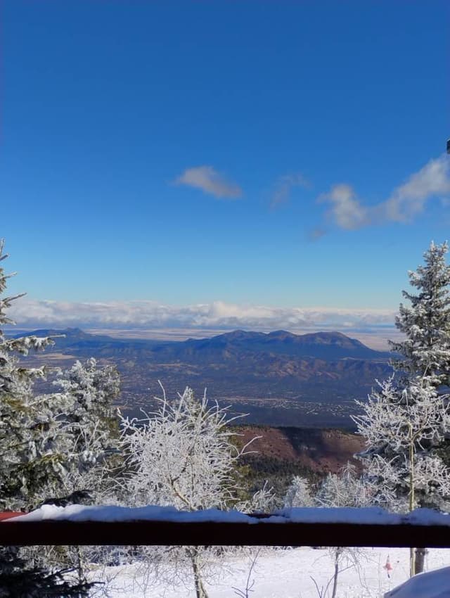 Photo 1 by Martina S. (2/18/26)