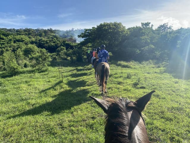 Photo 1 by Christopher W. (9/8/22)