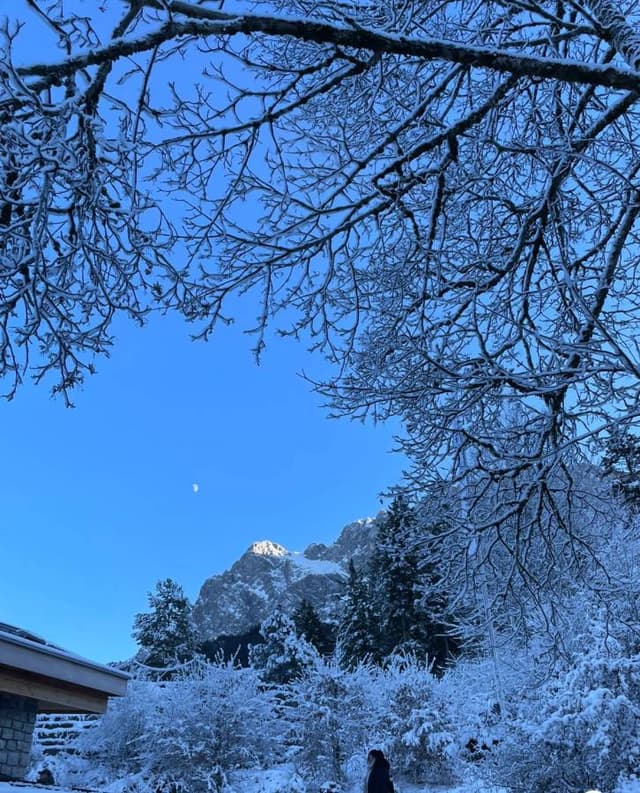 Foto 2 von majeed S. (7.1.26)