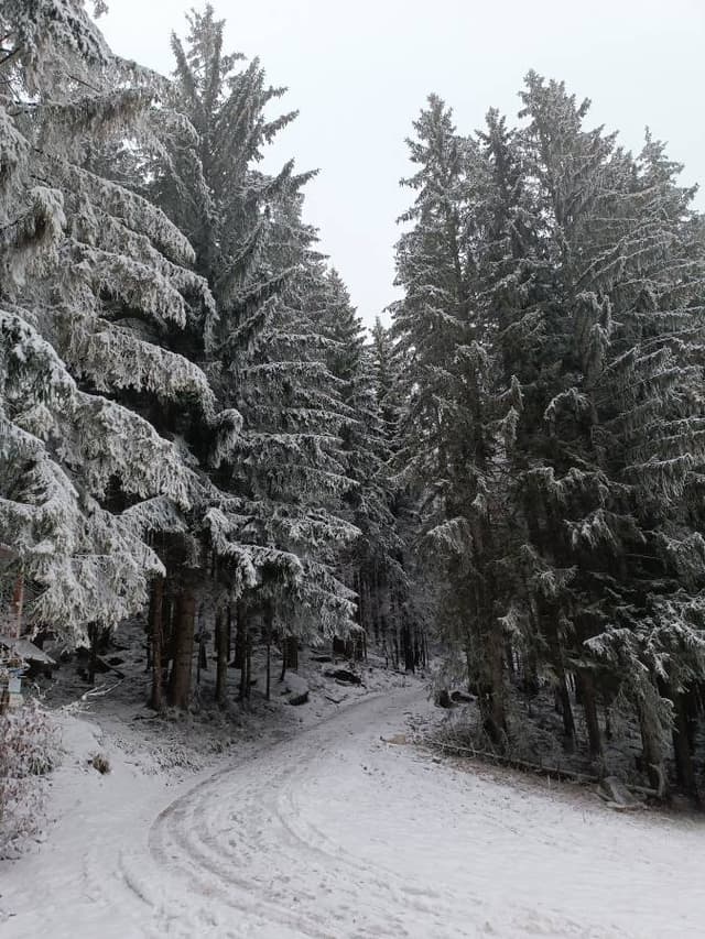 Фото 1 от Ihor K. об аренде Toyota C-HR в Варшаве (25.11.23)