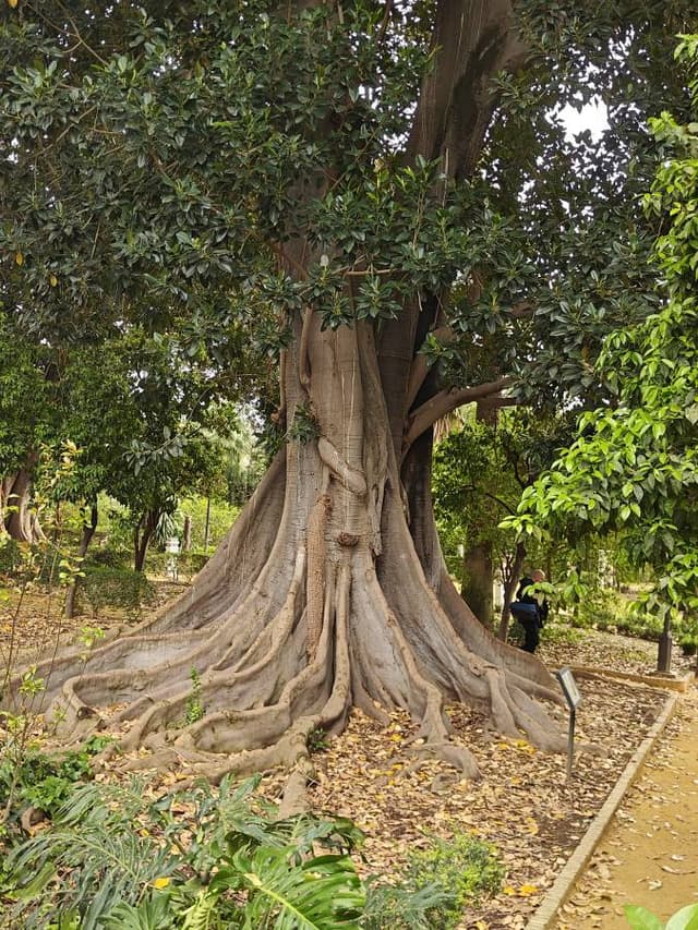 Photo 2 by Baciu C. (3/25/26)