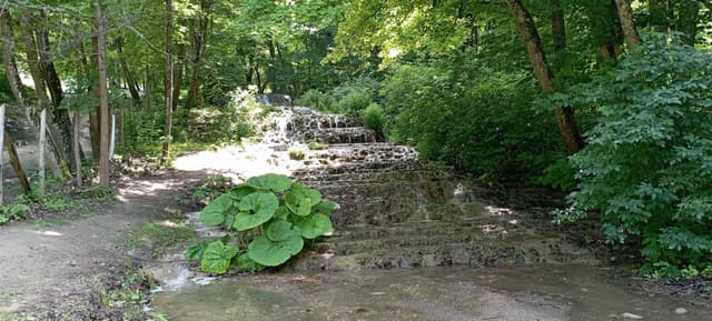 Photo by Zoya T. about renting a Volkswagen Polo in Budapest (6/14/24)