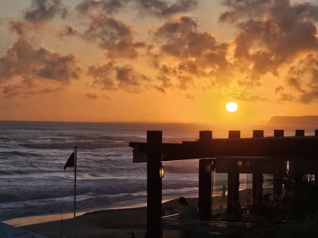 Photo 2 by Sylvia V. (11/5/25)