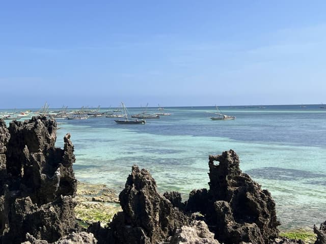 Photo 2 par ALAIN B. (13/02/26)