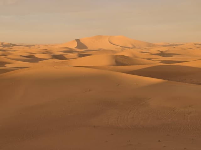 Foto 2 di Francesco L. (15/01/26)