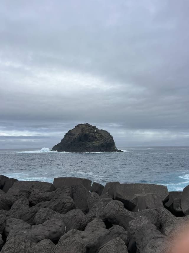 Photo 1 by Arash J. (12/13/25)