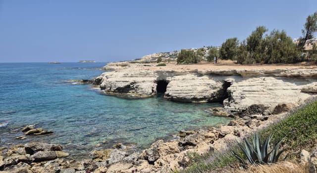 Photo 1 by Ray D. about renting a Suzuki Alto in Paphos (6/6/25)