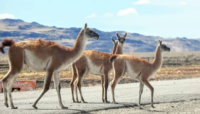 Zdjęcie 1 wykonane przez Witold K. (25.03.26)