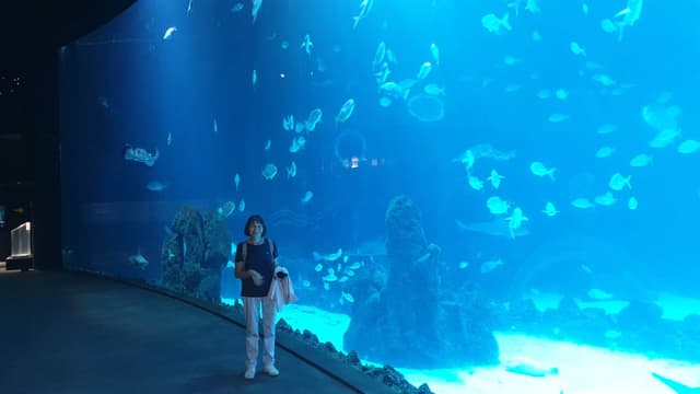 Foto 1 de Domingos S. (23/03/25)