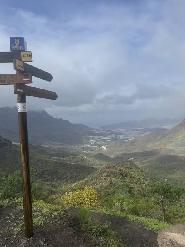 Bilde 1 av Frank Remy B. (26.12.25)