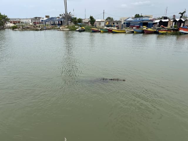Photo 1 by Sarvesh S. (7/10/26)