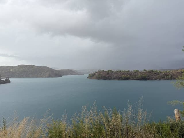 Photo 1 by Rianne K. (10/20/25)