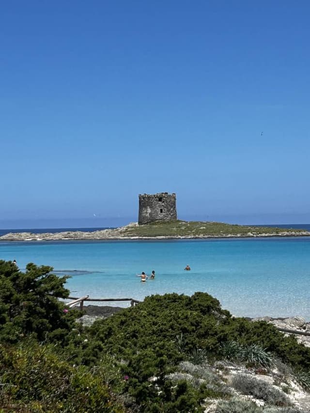 Foto 1 di Carlo C. (13/05/25)