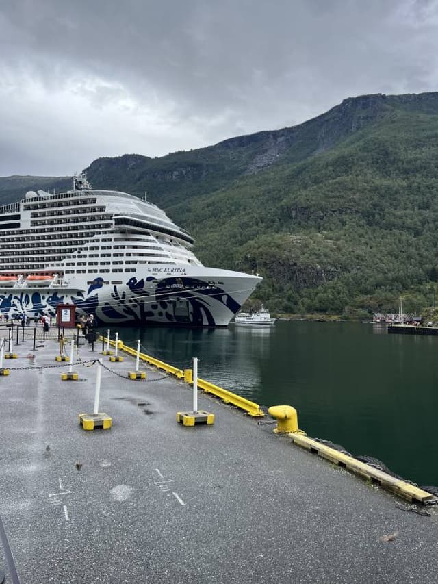 Photo 1 by Siddhant K. about renting a Volkswagen ID.7 in Bergen (8/11/25)
