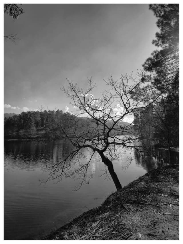 Foto de JOSE FERNANDO M. (05/01/26)