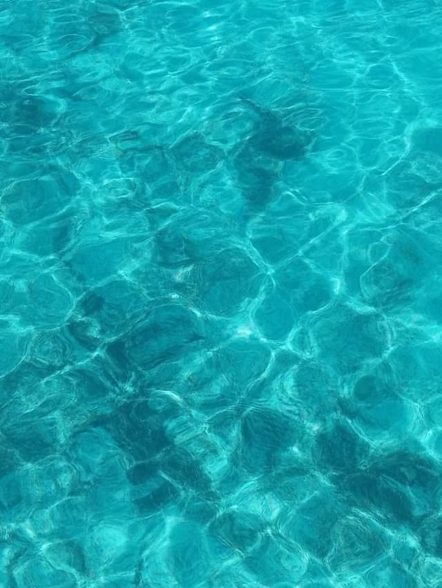 Foto 2 di Savino D. (04/07/26)