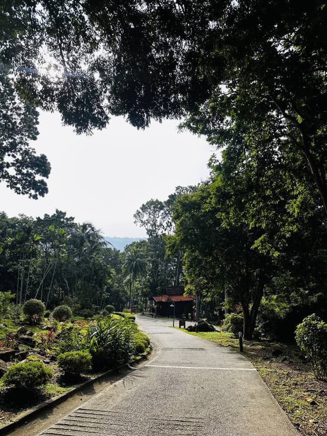 Photo 1 by Justin J. (6/21/25)