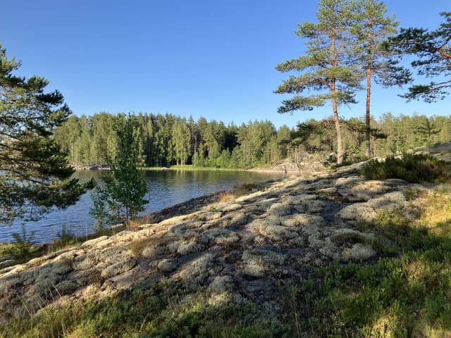 Photo 1 by Kaarlo H. about renting a Toyota Yaris at Helsinki Airport (7/22/25)
