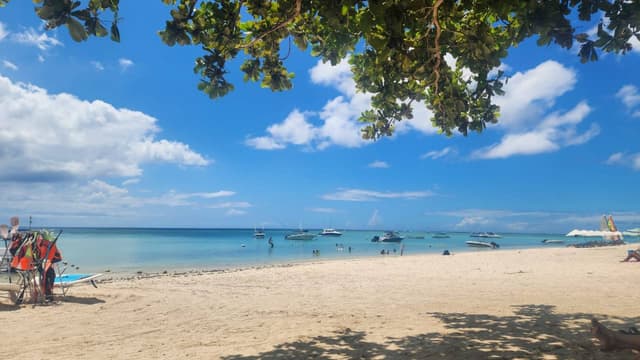 Photo 3 by Kiasha S. about renting a Kia Picanto in Grand Bay (2/14/25)