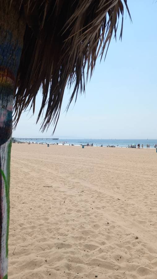 Foto di ALFREDO WALTER A. (11/09/24)